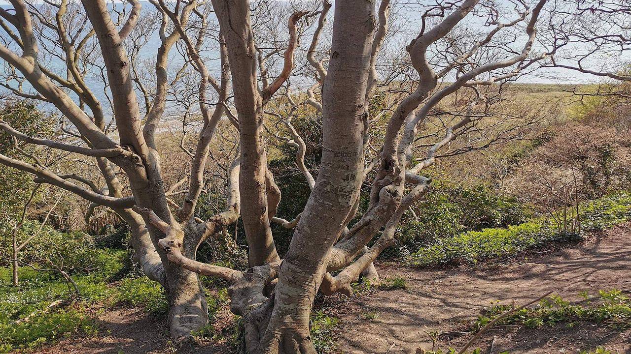 Ferienhaus für 12 Personen (180 m²) in Ebeltoft in Dråby Strand, Ebeltoft