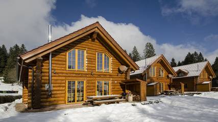 Ferienhaus für 14 Personen, mit Sauna und Balkon/Terrasse sowie Terrasse in Feldberg