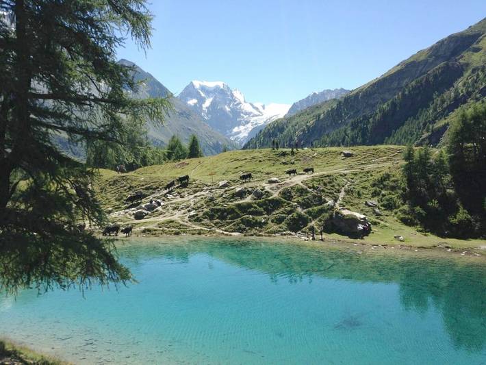 Gîte pour 6 personnes, avec Balcon ainsi que Terrasse et Vue dans Arolla