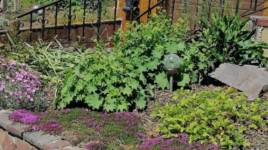 Ferienwohnung für 4 Personen, mit Garten in der Saarschleife - 4