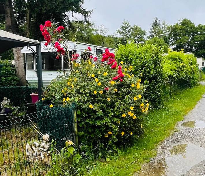 Location de vacances pour 4 personnes, avec jardin ainsi que vue et piscine, animaux acceptés à Philippeville