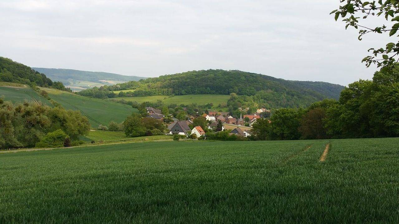 Ferienhaus für 4 Personen (65 m²) in Bodenwerder in Bodenwerder, Weserbergland