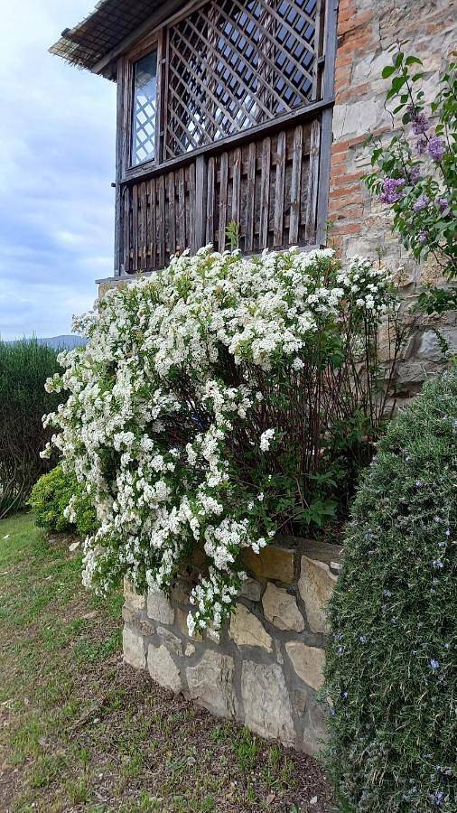 Podere Casalbosco - Idromassaggio e panorama in Rapolano Terme, Siena e dintorni