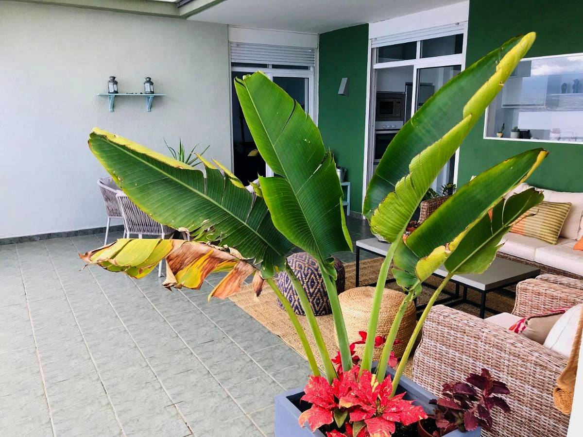 Ganze Wohnung, La Casa Verde in Radazul Bajo, El Rosario