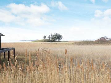 Ferieudlejning til 14 Personer i Lillebælt, Fåborg, Billede 2