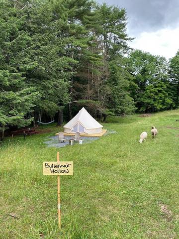 Camping for 9 Guests in Vermont, USA, Picture 3