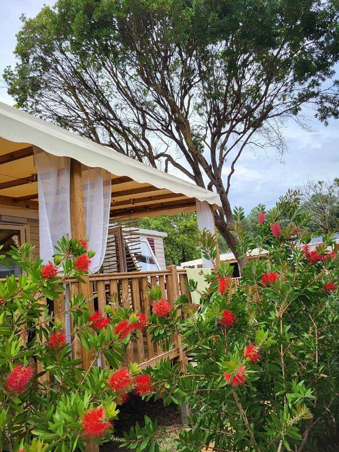 Camping pour 6 personnes, avec piscine ainsi que terrasse et vue, adapté aux familles à Lège-Cap-Ferret