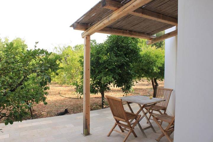 Maison d’hôte pour 3 personnes, avec Terrasse ainsi que Jardin et Vue à San Vito dei Normanni - 4