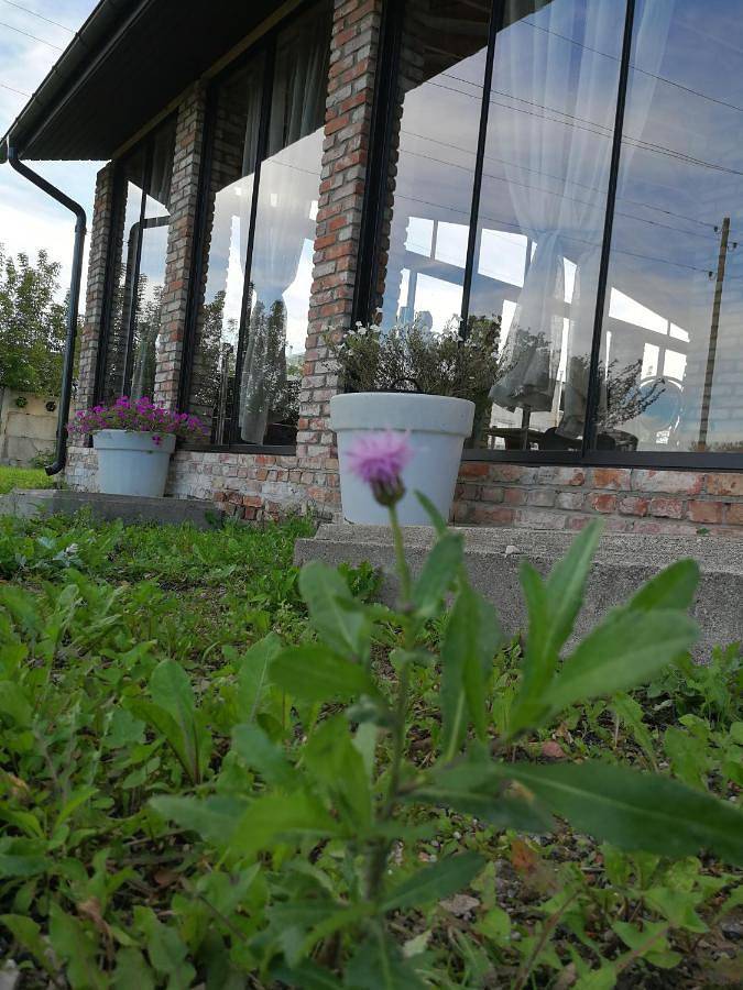 Camping voor 2 personen, met whirlpool en tuin, met huisdier in Letland