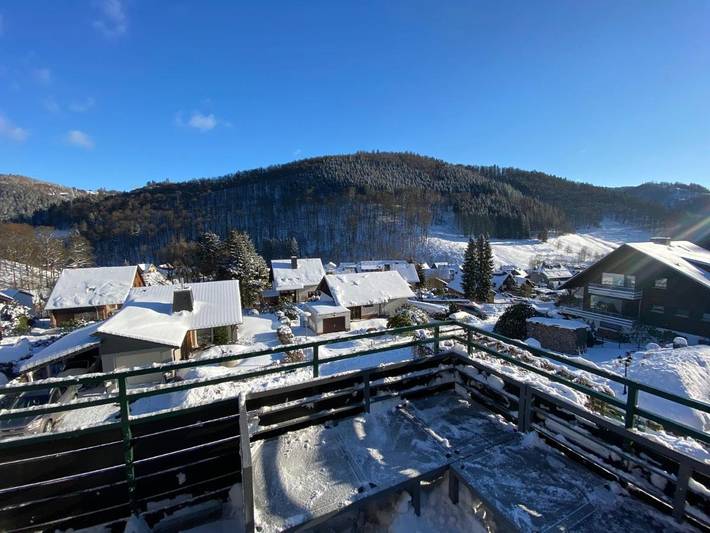Ferienhaus für 17 Personen, mit Garten und Ausblick, mit Haustier in Herzberg am Harz - 4