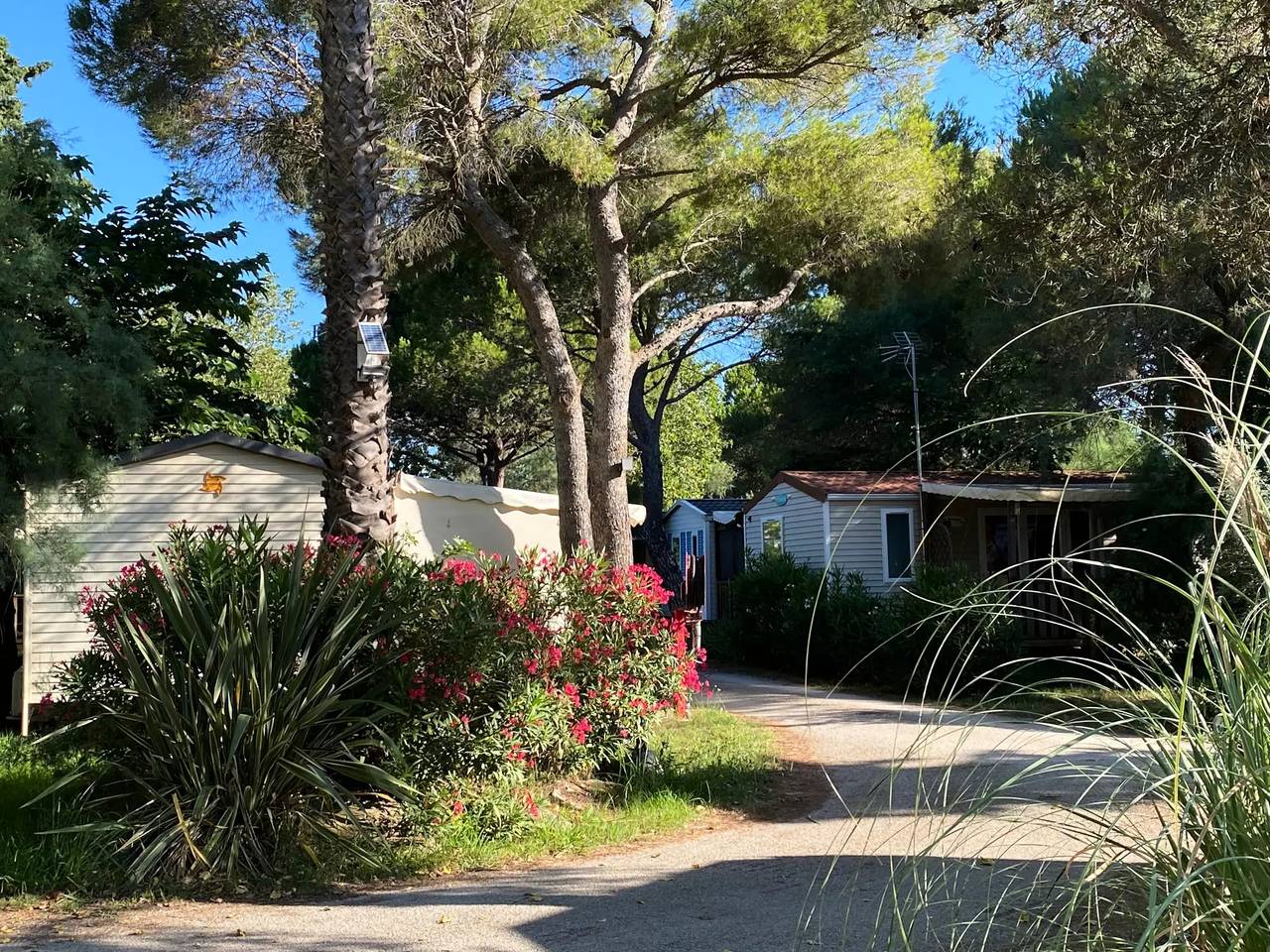 Mobil-home Nest Sun - 33m2 - 3 dormitorios 6 personas in Villeneuve-lès-Maguelone, Côte d'Améthyste