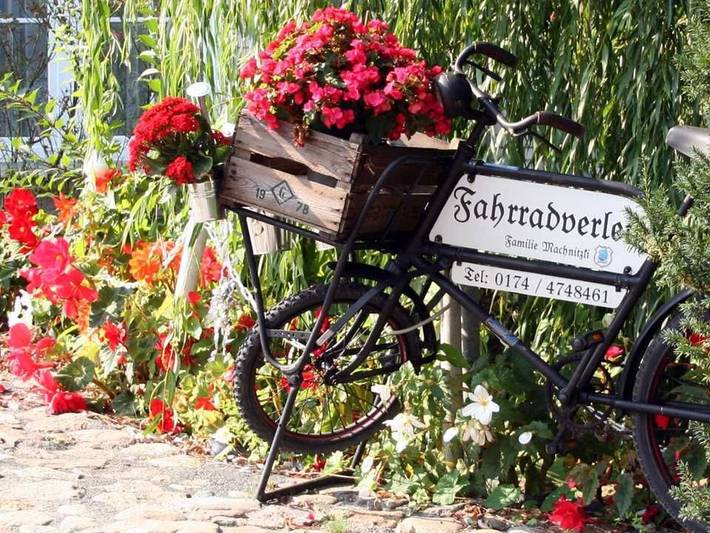 Ferienwohnung für 3 Personen, mit Garten in Groß Nemerow - 3