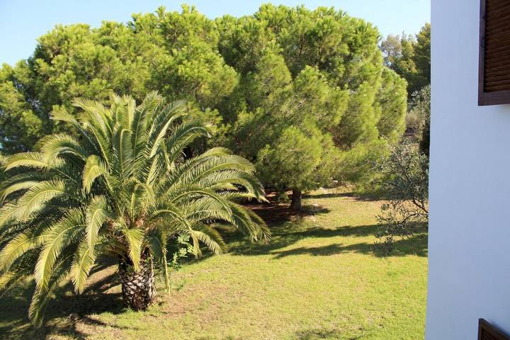 Apartamento entero, Apartamento de vacaciones para 4 personas con jardín in Lagonisi, Ormos Panagias