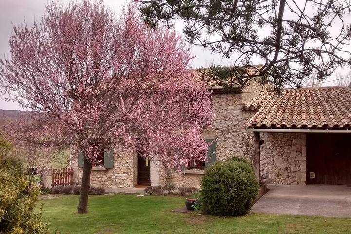 Holiday home for 2 people, with terrace and pool as well as garden, with pets - 1
