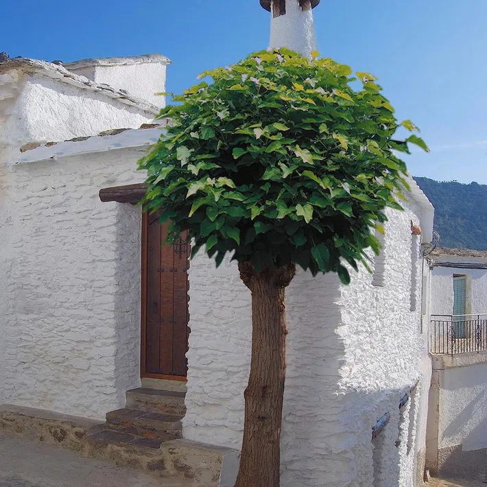 Maison de vacances pour 3 personnes, avec vue - 1