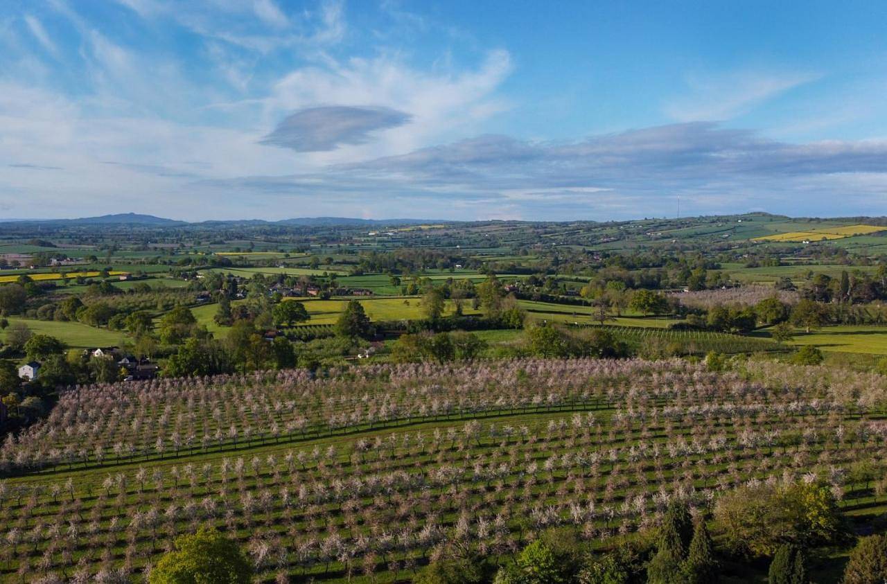 Dragon Orchard Retreat in Herefordshire