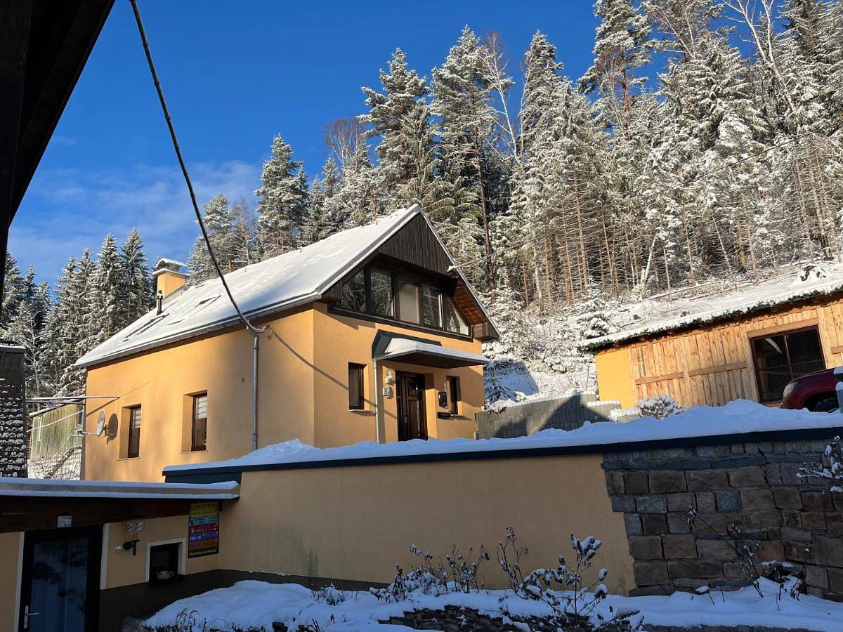 Ferienhaus Wernesgrün in Steinberg (Vogtland), Chemnitz und Umgebung
