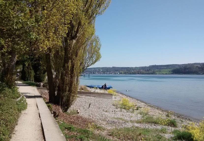 Ganze Ferienwohnung, Ferienwohnung Angela - A. Fickenscher u. D. Barth - 2-Zimmer-Fewo, Erdgeschoss, 50 m² in Reichenau, Untersee
