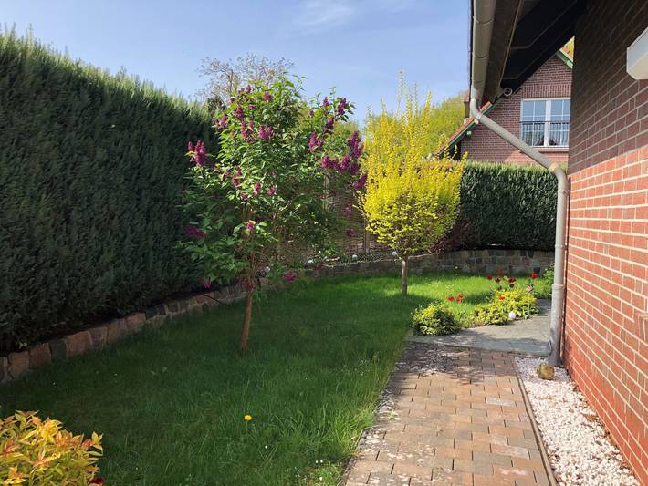 Ferienhaus für 6 Personen, mit Garten und Terrasse, kinderfreundlich in Göhren-Lebbin - 3