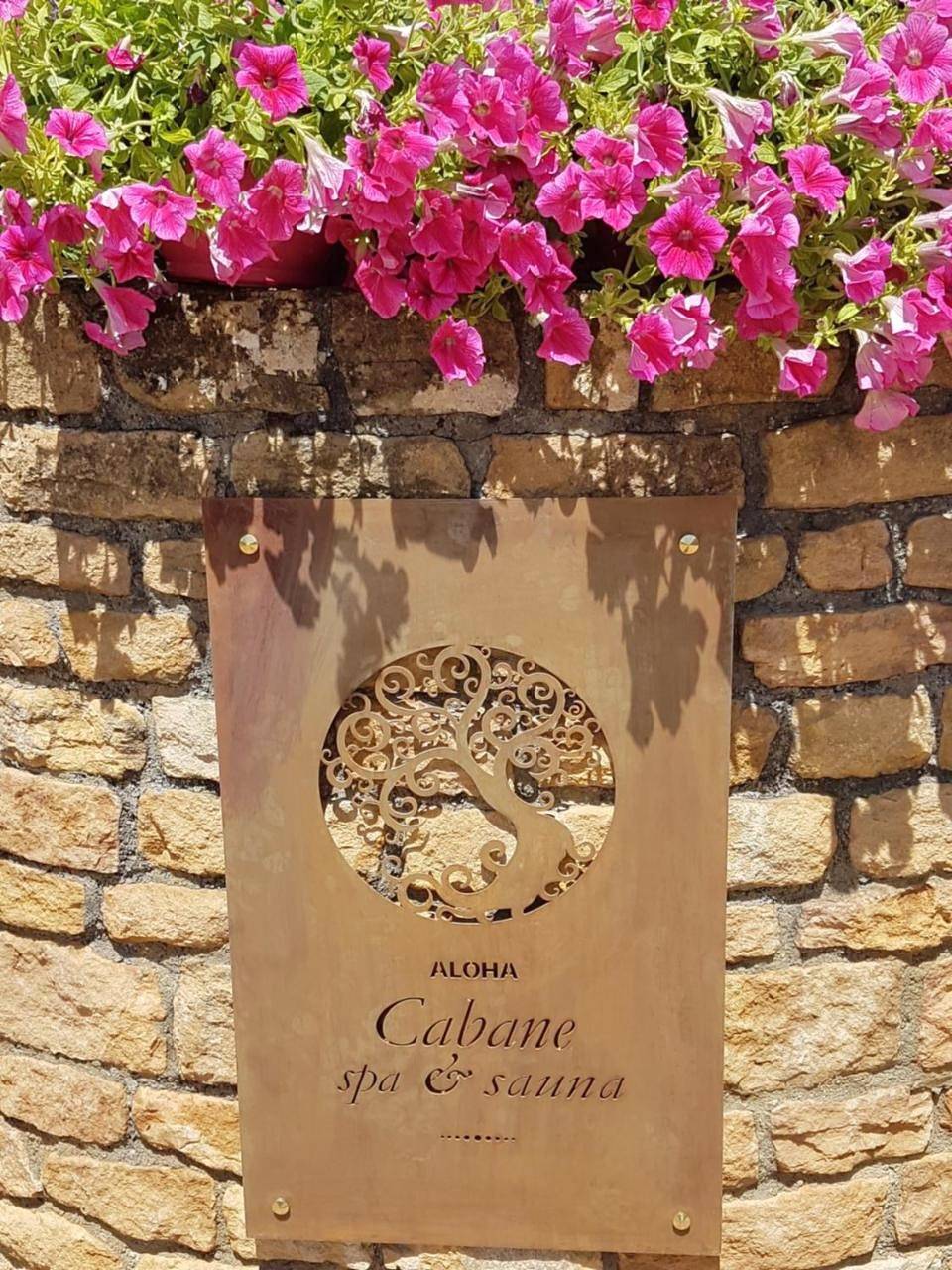 Cabane Spa Sauna in Ville-sur-Jarnioux, Région de Villefranche-sur-Saône