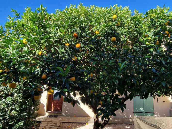Casa de vacaciones para 6 personas, con jardín y terraza, Se admiten mascotas - 1