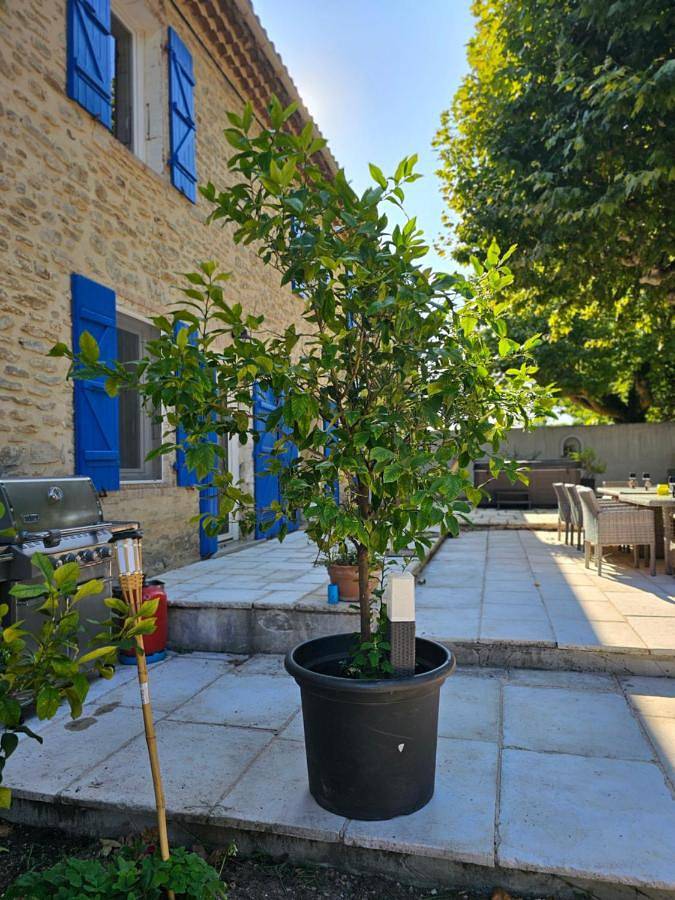 Location de vacances pour 15 personnes, avec jacuzzi ainsi que piscine et jardin à Bollène - 2