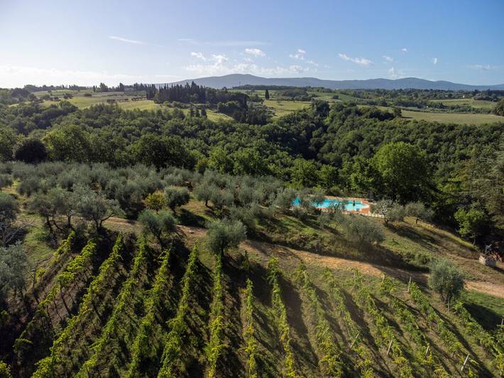 Appartamento intero, Ulivo in Poggibonsi, Siena e dintorni
