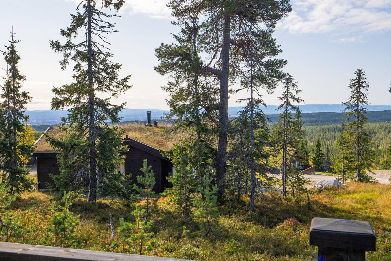 Stæren · Natur, Bål & Ski · Budor · 60 min Osl in Løten