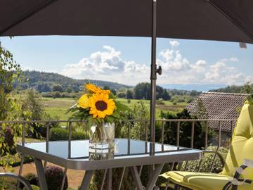 Ferienwohnung für 4 Personen, mit Balkon und Seeblick, mit Haustier in Radolfzell am Bodensee
