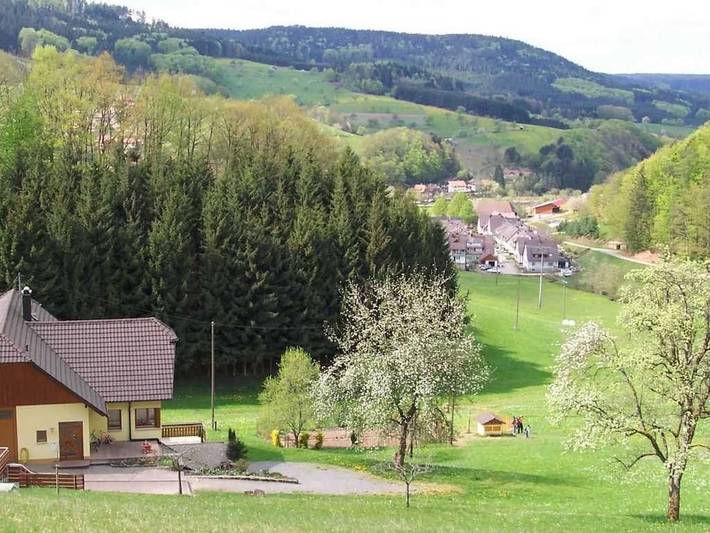Ferienwohnung für 4 Personen, mit Garten und Balkon sowie Ausblick, kinderfreundlich in Schuttertal - 2