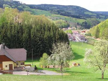 Ferienwohnung für 4 Personen in Schuttertal, Hochschwarzwald, Bild 1