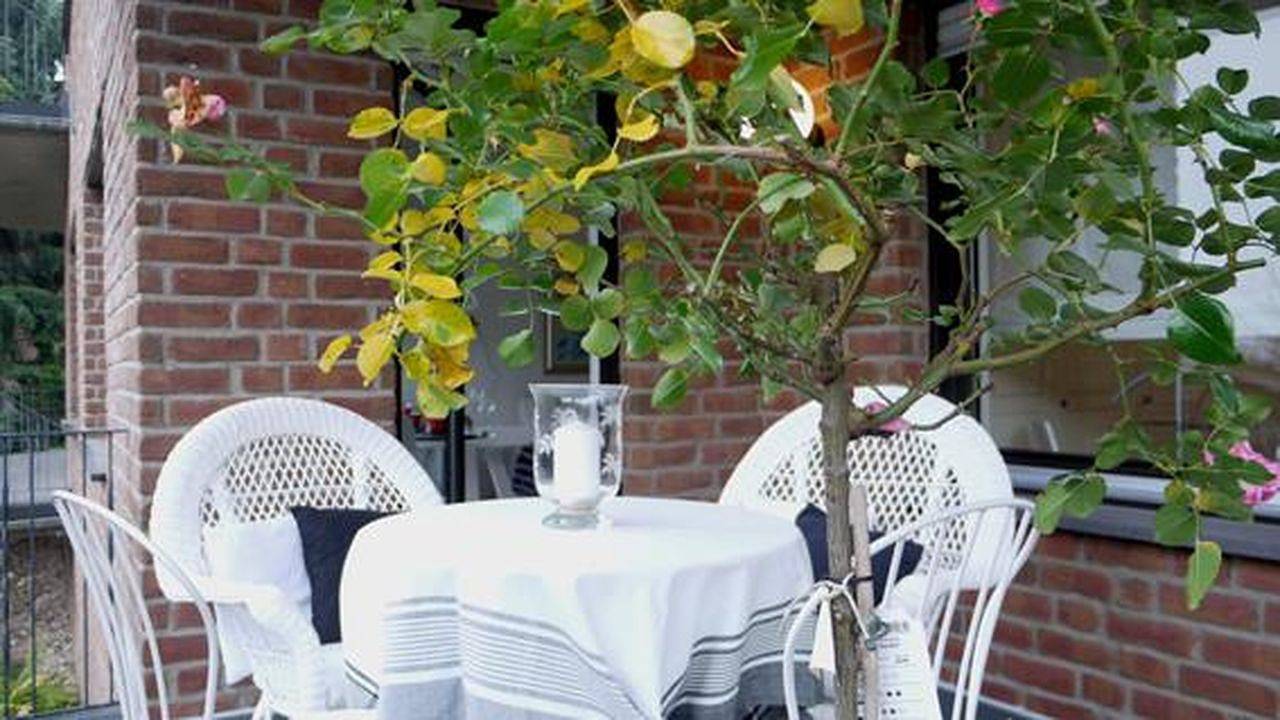 Ganze Ferienwohnung, Ferienwohnung für 2 Personen (67 m²) in Andernach in Andernach, Osteifel