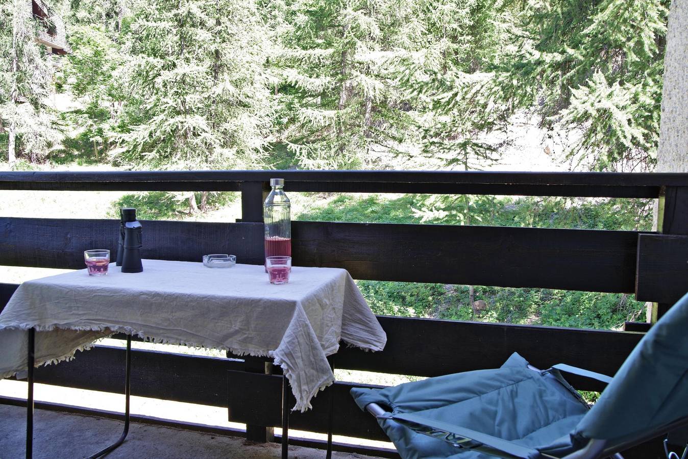 Ganze Wohnung, Au calme entre les mélèzes- Appt proche des pistes in Les Orres, Nationalpark Écrins