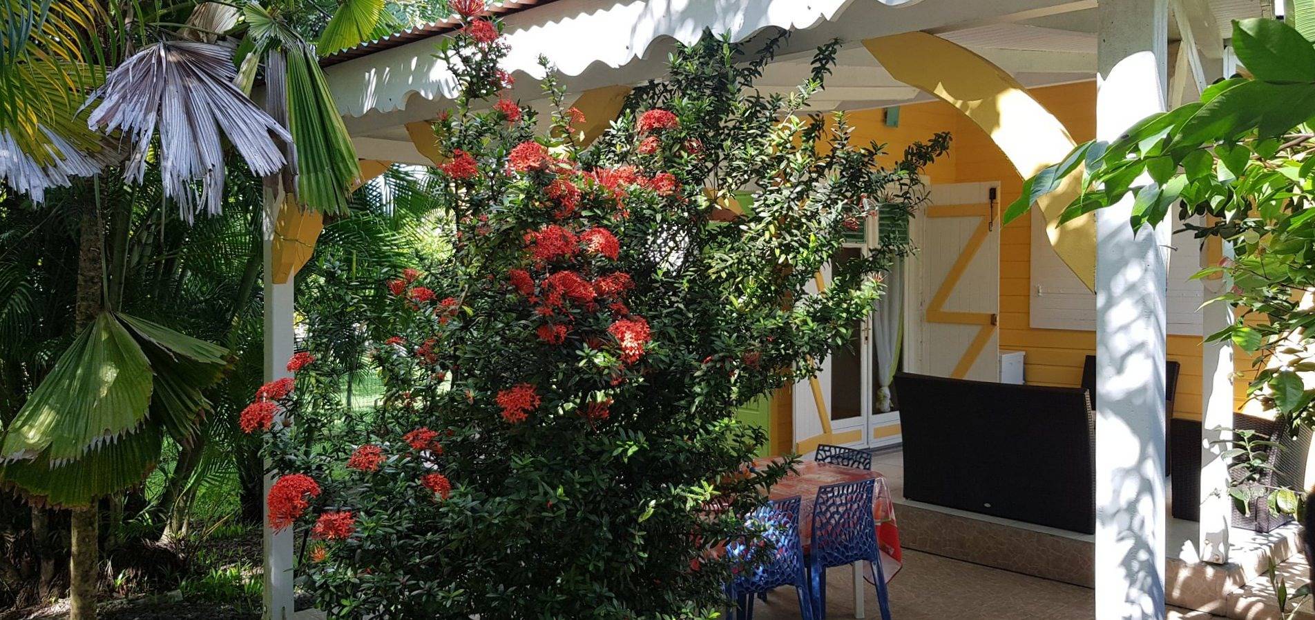 Location d'une villa créole in Sainte-Anne, Guadeloupe