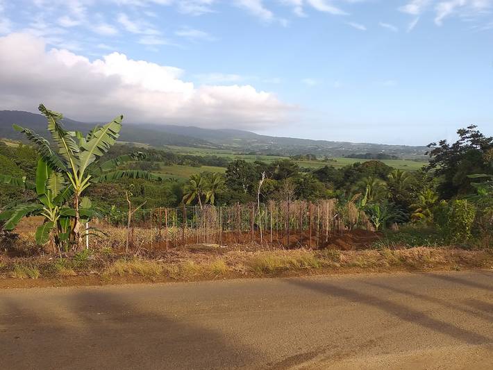 Location de vacances pour 5 personnes, avec balcon à Lamentin (Guadeloupe) - 3