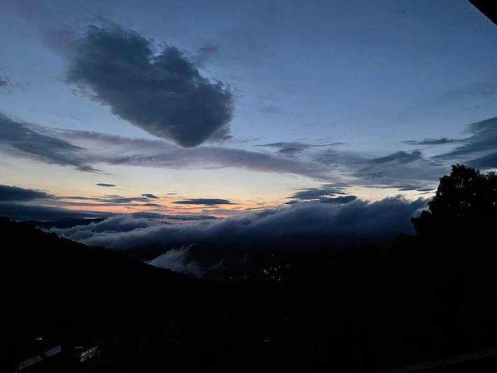 Ferienwohnung für 2 Personen, mit Ausblick und Terrasse, mit Haustier in Schöfweg - 4