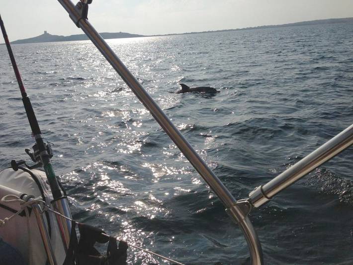 Boot für 6 Personen, mit Haustier in Italien - 3