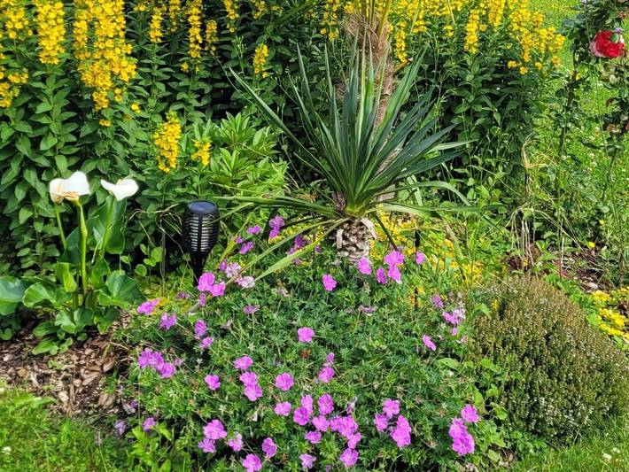 Chambre d’hôte pour 2 personnes, avec jardin ainsi que vue et terrasse dans Parc naturel régional des Ardennes - 4