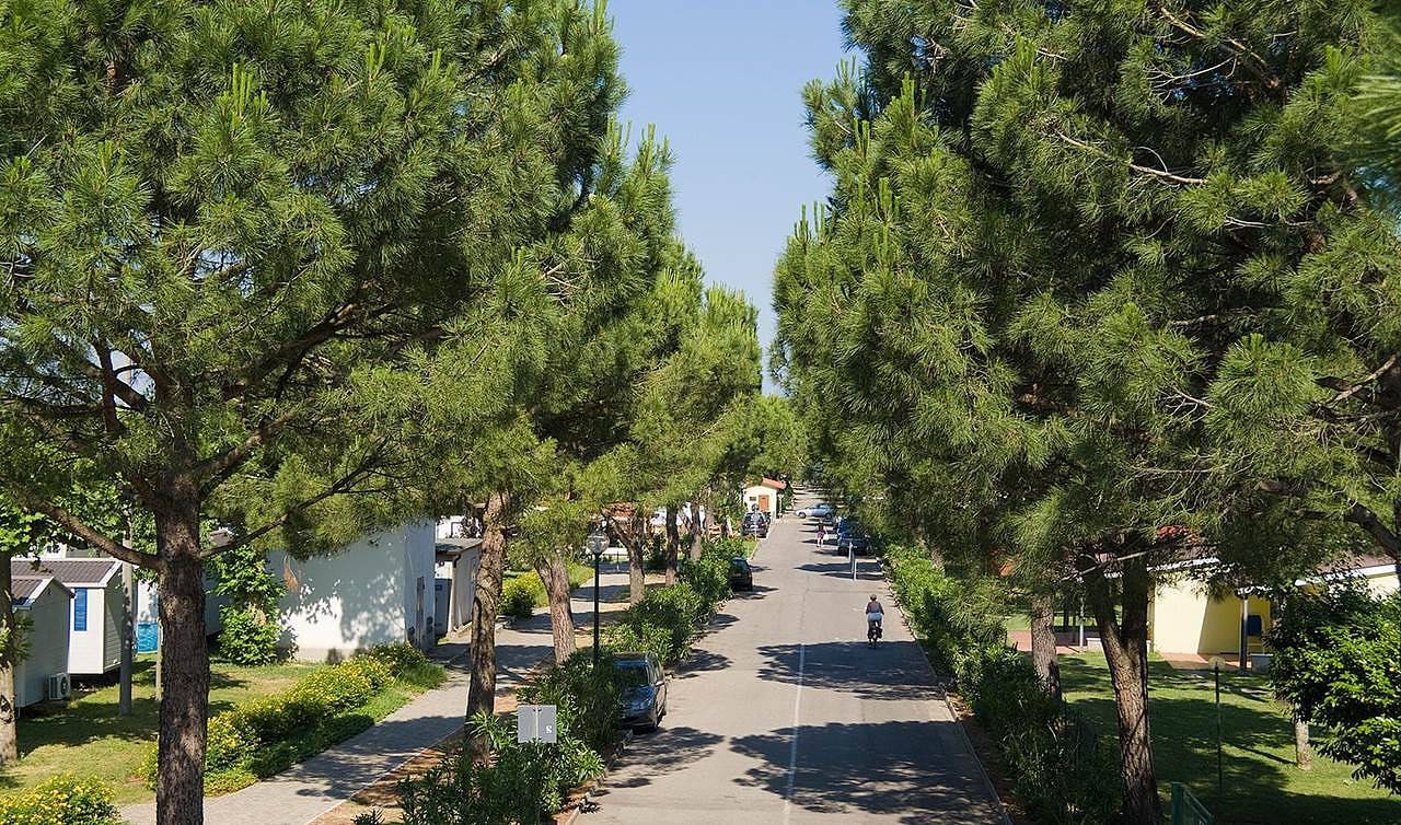 Residence Del Garda Village And Camping Mobilhome Dalia in Castelnuovo del Garda, Garda Mountains