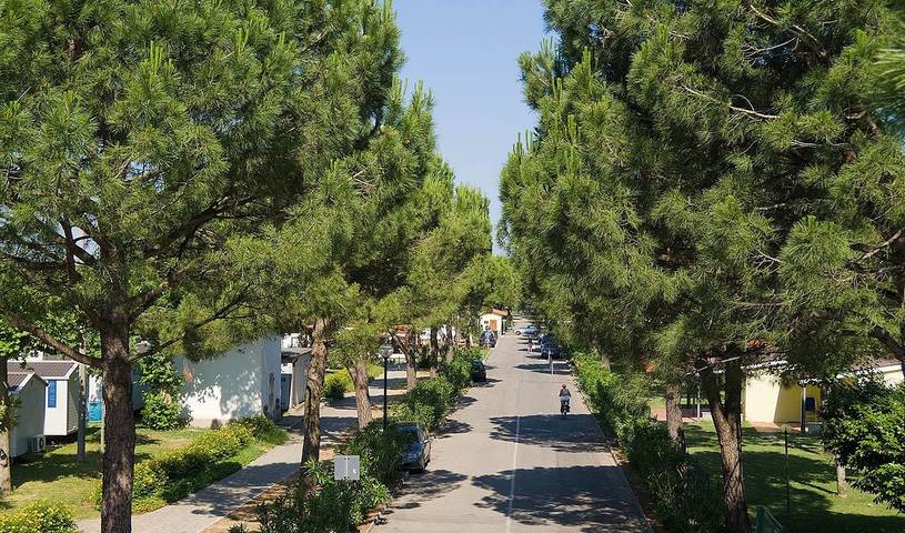 Camping per 4 persone, con terrazza e piscina nonché piscina per bambini, adatto a famiglie con bambini al Lago di Garda