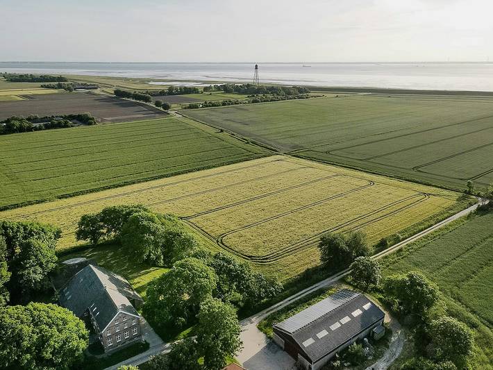 Ferienwohnung für 6 Personen, mit Terrasse, kinderfreundlich in Krummhörn - 2