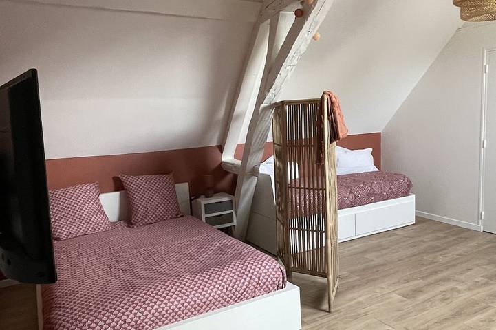 Location de vacances pour 12 personnes, avec jardin ainsi que terrasse et jacuzzi à Sens - 4