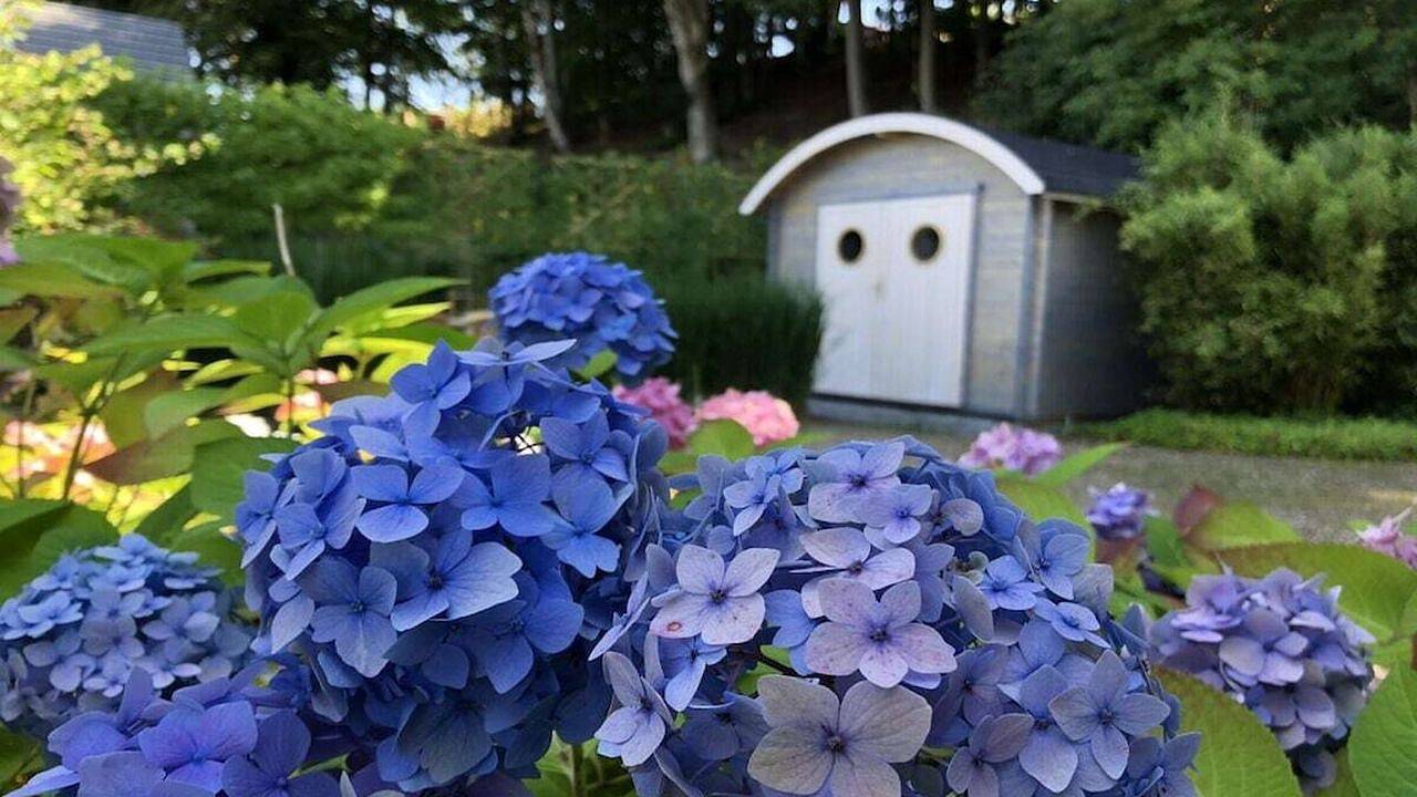 Ferienhaus für 4 Personen (85 m²) in Langballig in Langballig, Flensburger Förde