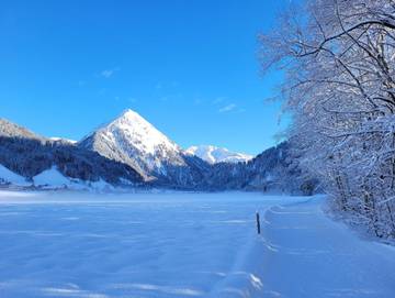 Ferienwohnung für 4 Personen in Schoppernau, Allgäuer Alpen (Österreich), Bild 3