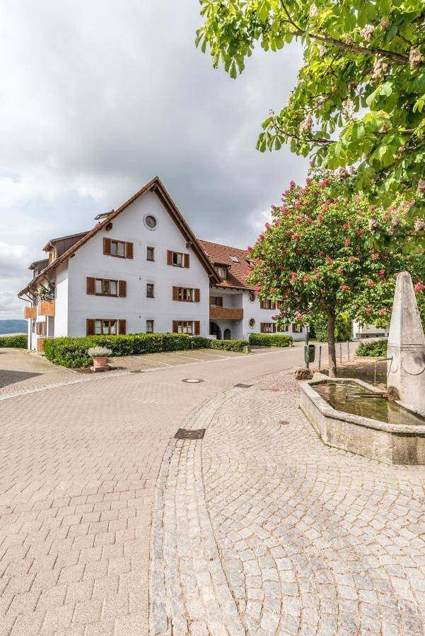 Rh-Appartements 15 Minuten von Basel im Dorf Rührberg in Grenzach-Wyhlen, Südschwarzwald