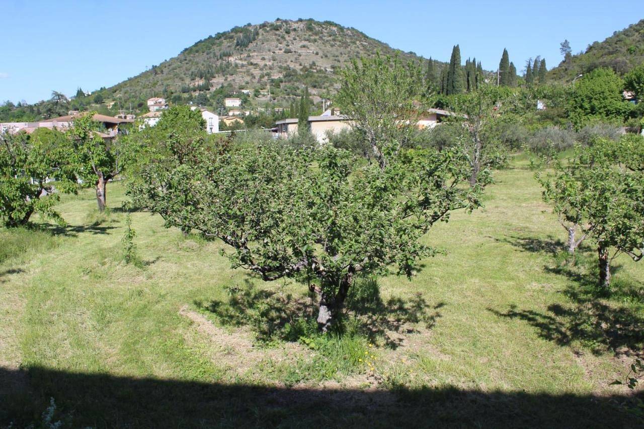 Hotel Des Oliviers in Les Vans, Parc national des Cévennes