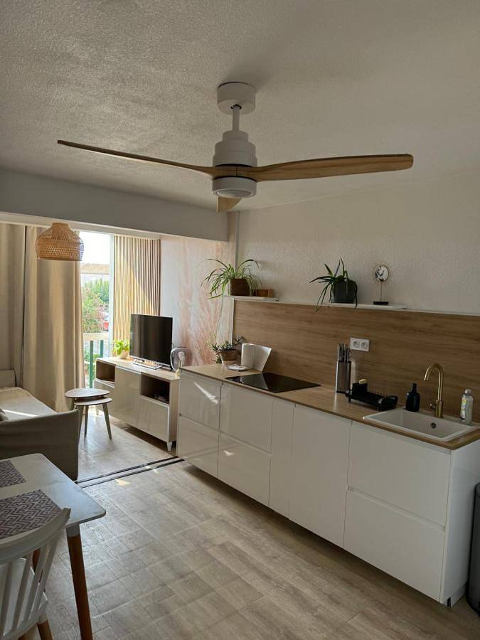 Gîte pour 4 personnes, avec vue et piscine dans Plage des Aresquiers - 4