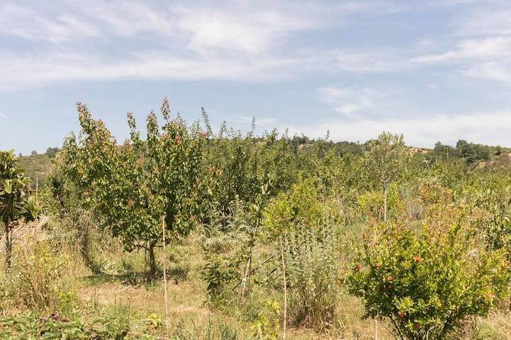 Le Panier Bio de Noé in Noé, Haute-Garonne