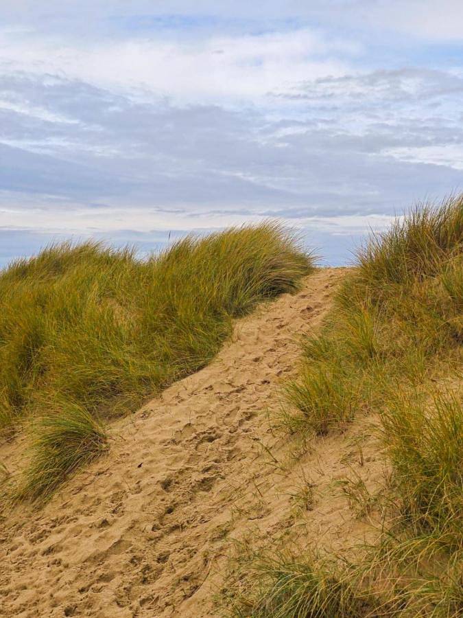 Location de vacances pour 10 personnes, avec vue et jardin à Bréville-sur-Mer - 3