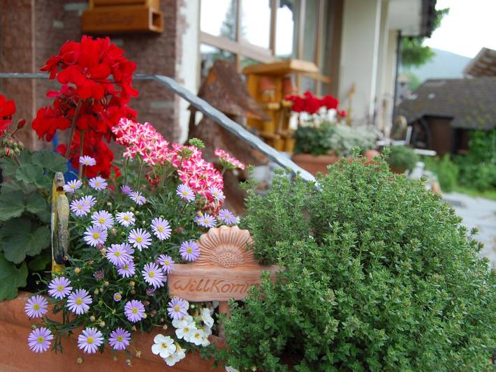 Pension pour 2 personnes, avec balcon/terrasse à Titisee-Neustadt - 3